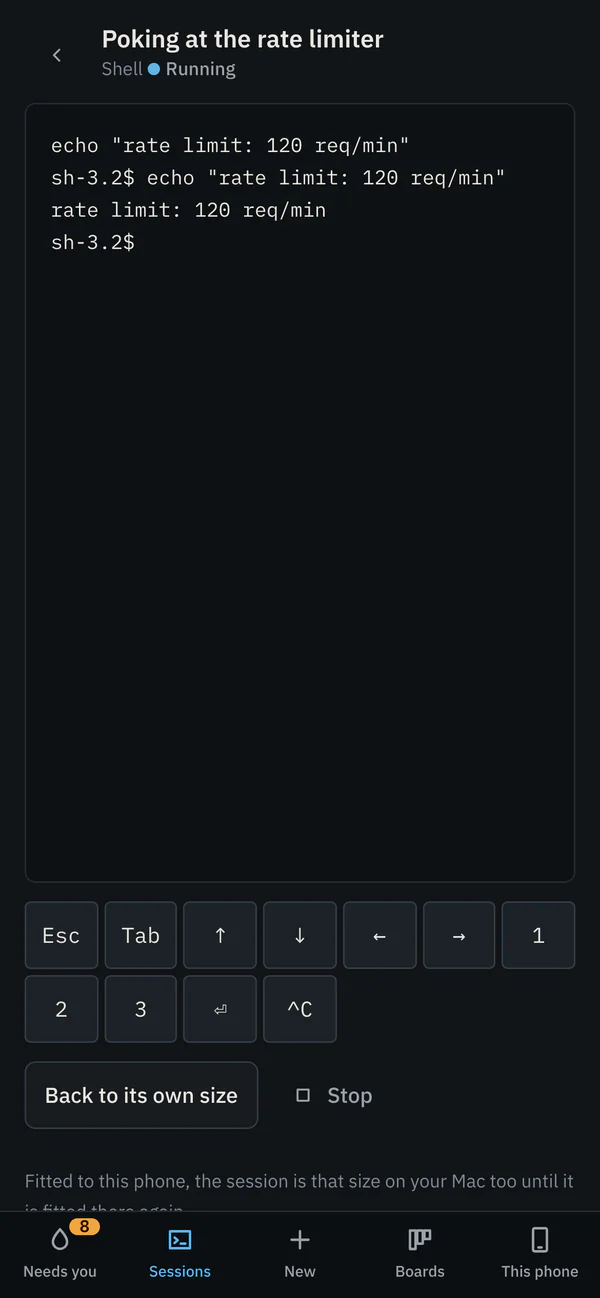 A running session on a phone: its terminal fitted to the screen, keys a phone keyboard lacks, Stop, and the tab bar.